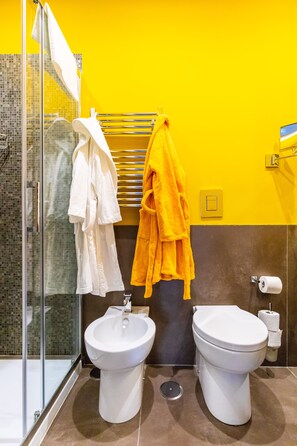 Shower, hair dryer, bidet, towels
