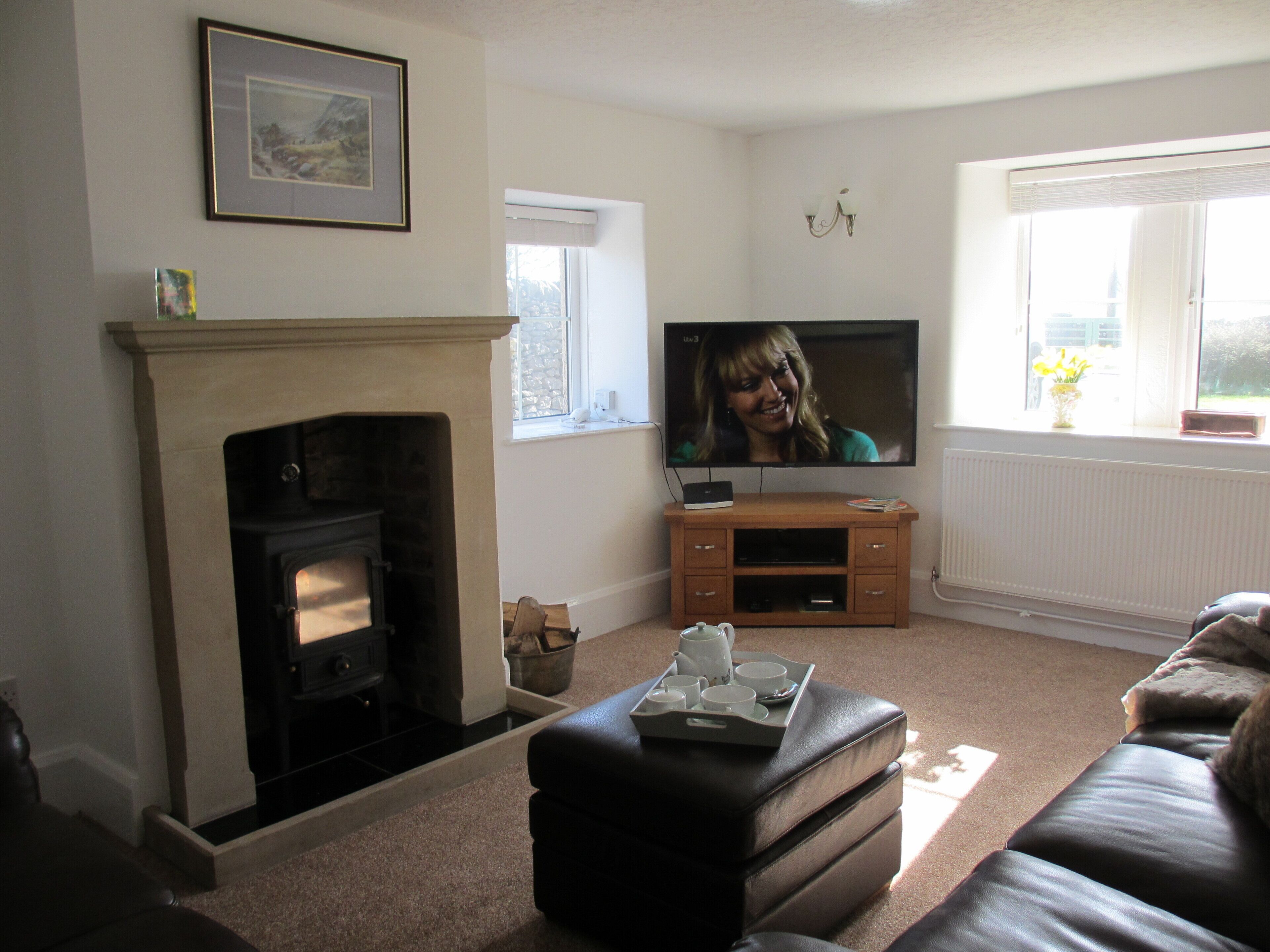 Smart TV, fireplace, DVD player, books