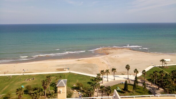 A beach view with a clear sky, a sandy shore, and palm trees.