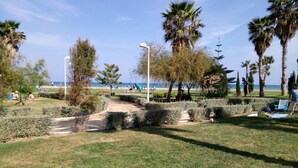 A park with a pathway, palm trees, and a beach in the background.