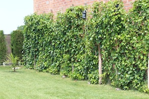 المنطقة المحيطة بالمنشأة