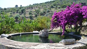 A circular stone fountain with a central statue, surrounded by lush greenery and purple bougainvillea flowers. - The Tower & La Torretta by the Sea-Villa Palamara 1868 (Cefalù)