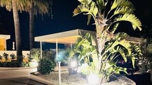 Un espace extérieur bien éclairé, doté d’un chemin pavé, de palmiers et d’un espace de repos abrité.