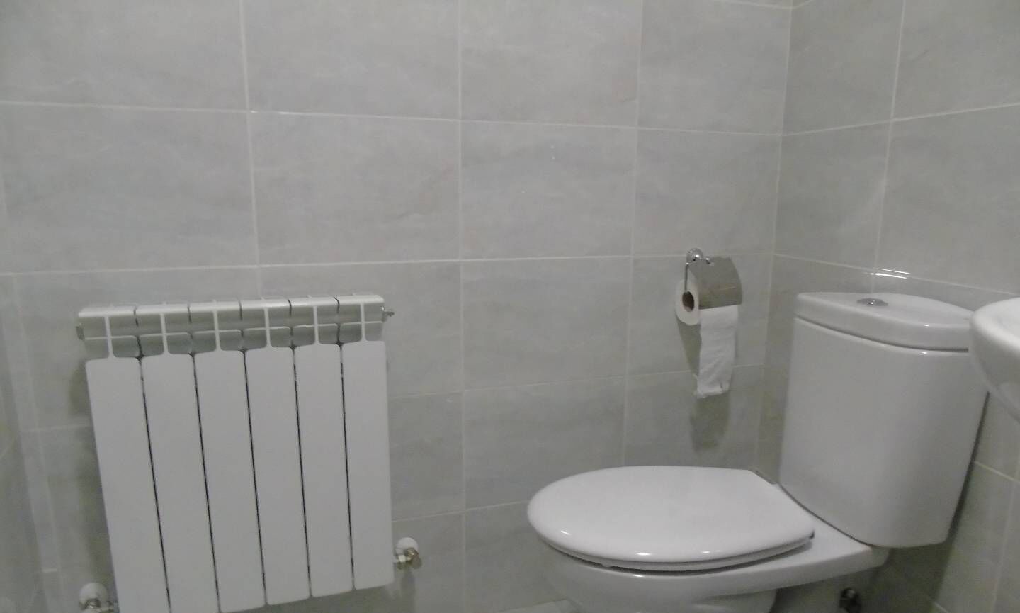 A bathroom with a toilet, a radiator, and a toilet paper holder.