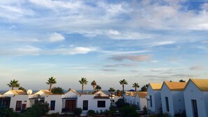 A row of white buildings with flat roofs, palm trees, and a clear sky.