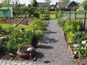 A garden pathway with a gravel surface, surrounded by various plants and flowers.