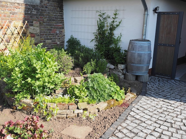 Un jardin avec différentes sortes de plantes et un tonneau en bois.