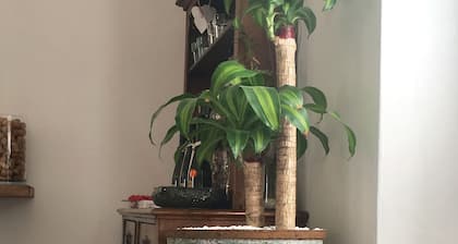 Paola's House Apartment prĂšs de Cernobbio ComoLake