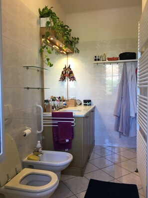 Combined shower/bathtub, hair dryer, bidet, towels