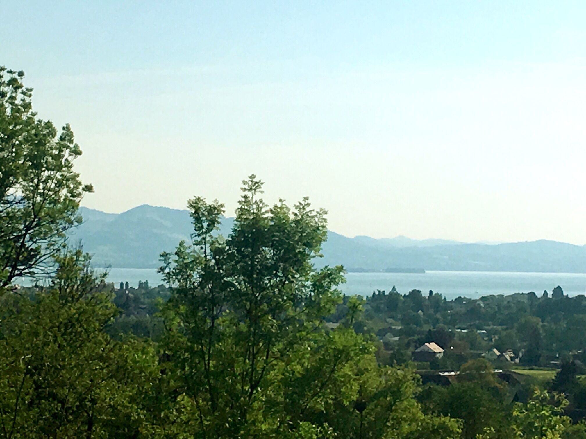 Une vue d’un lac, avec des montagnes en arrière-plan et des arbres au premier plan.