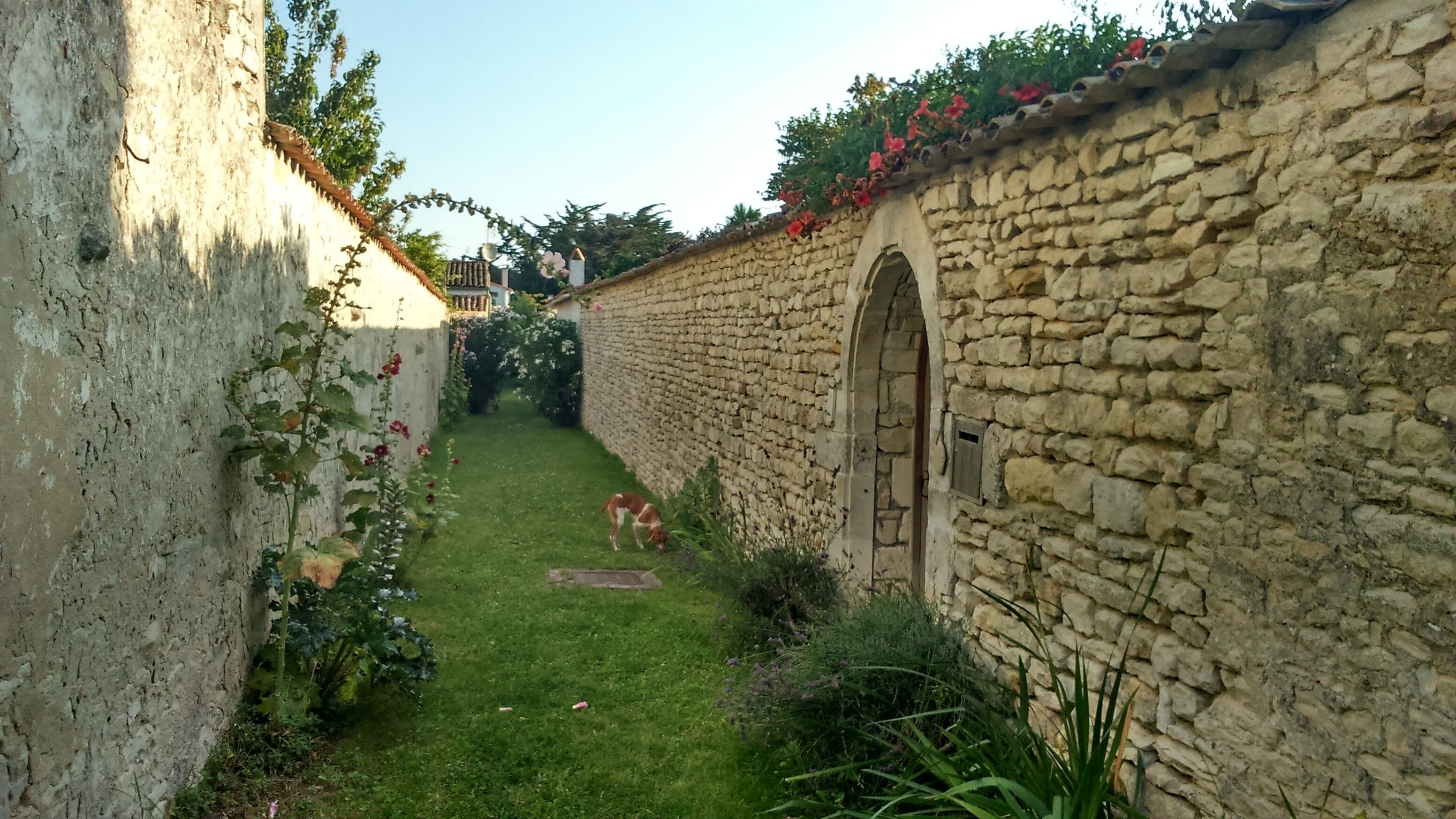 Enceinte de l’hébergement