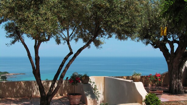A terrace with potted plants and a view of the sea.