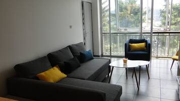 Una televisión, un reproductor de DVD