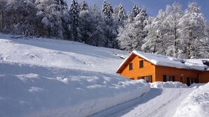 A wooden cabin with a sloped roof, surrounded by snow-covered trees and a snow-covered ground. - Cottage Le Meixzoté (Ferdrupt)