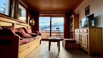 TV connectée, cheminée, lecteur de DVD, chaîne hi-fi