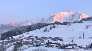 Sneeuw- en skisporten