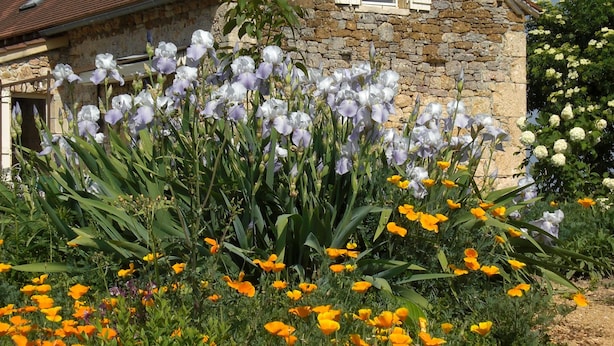 Una casa de piedra con tejado de tejas rojas, rodeada de un jardín con flores blancas y anaranjadas.