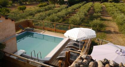 am Fuße des Mont Ventoux ideale Radfahrer