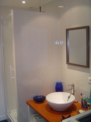 Douche, séchoir à cheveux, serviettes fournies, savon