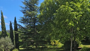 Un jardín con un sendero, una banca blanca y diversas plantas.
