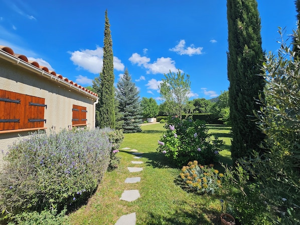 A garden with a pathway, a building with wooden shutters, and tall trees.