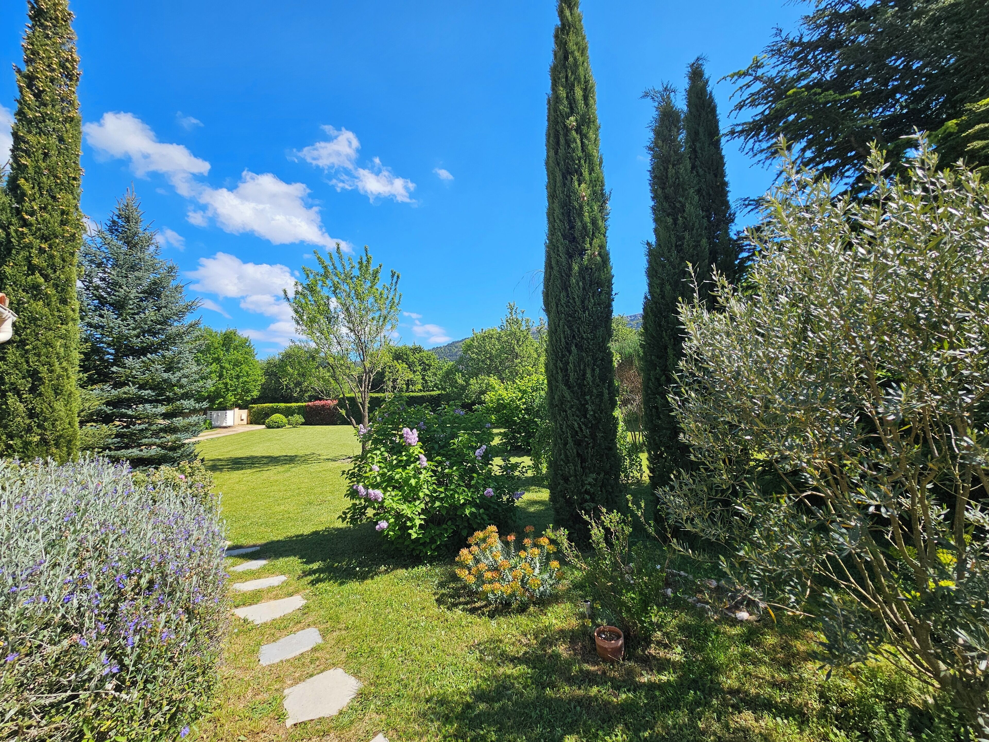 A garden with a stone pathway, various shrubs, and tall trees.