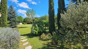 Un jardín con un sendero de piedra, arbustos variados y árboles altos.