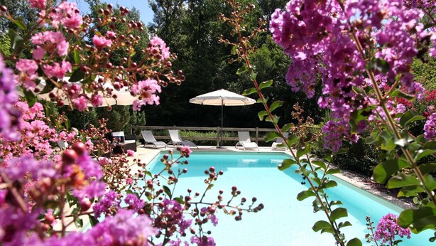 Une piscine entourée d’une végétation luxuriante aux fleurs violettes, avec des chaises longues et des parasols en arrière-plan.