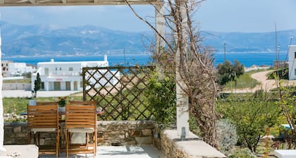 Cycladic villa with infinity pool, breathtaking sea view