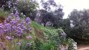 A garden with purple flowers and a gravel path.