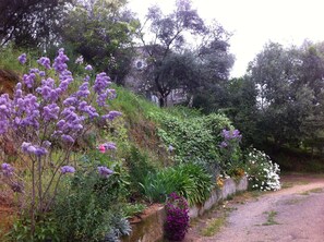 Overnattingsstedets uteområder