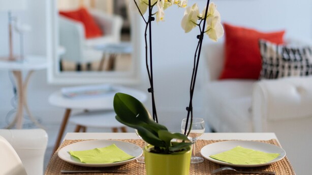 Una mesa con platos, servilletas y un jarrón de flores blancas.