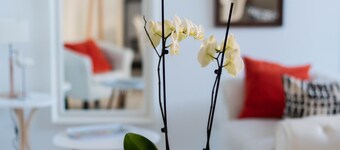 Le Doris, 60m2 /3 persons, WIFI