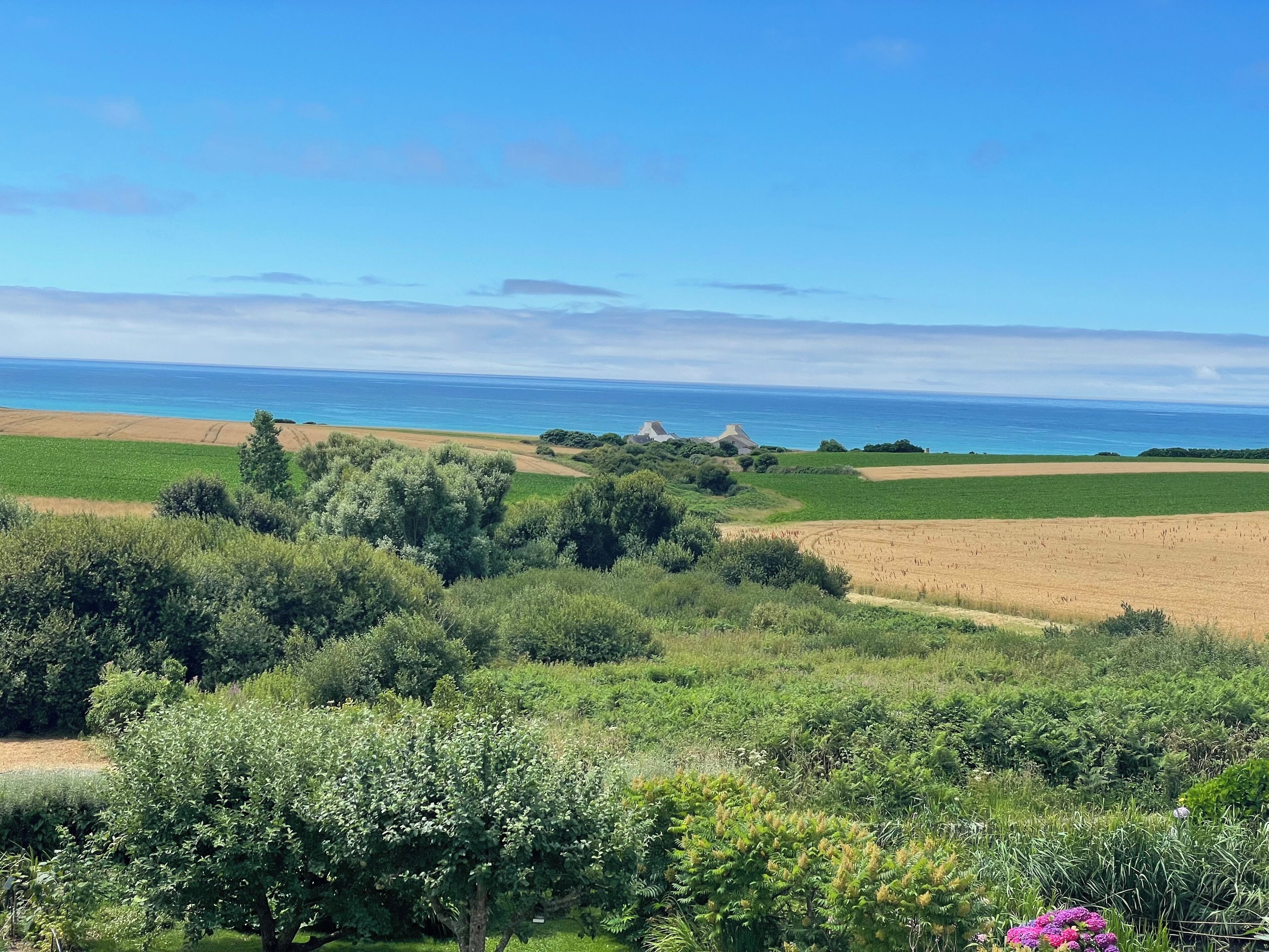 A coastal landscape with fields, trees, and a view of the sea.