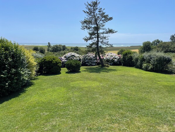 A well-maintained lawn with a variety of shrubs and a tall tree, with a clear view of the ocean in the background.