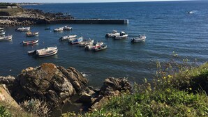 Paisaje costero con barcos amarrados en un muelle, costa rocosa y cielo azul despejado.
