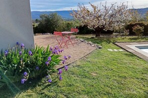 Ein Garten mit Rasen, einem kleinen Pool und roten Stühlen.