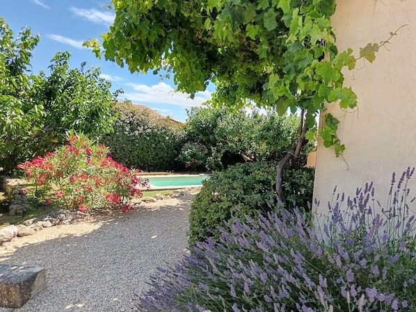 المنطقة المحيطة بالمنشأة