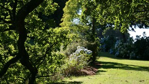 Un jardin luxuriant, avec un feuillage dense et une grande variété de plantes.