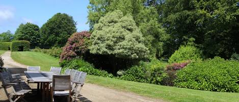 A garden with a table and chairs, surrounded by greenery and trees.
