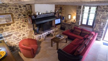 TV, fireplace, DVD player, books