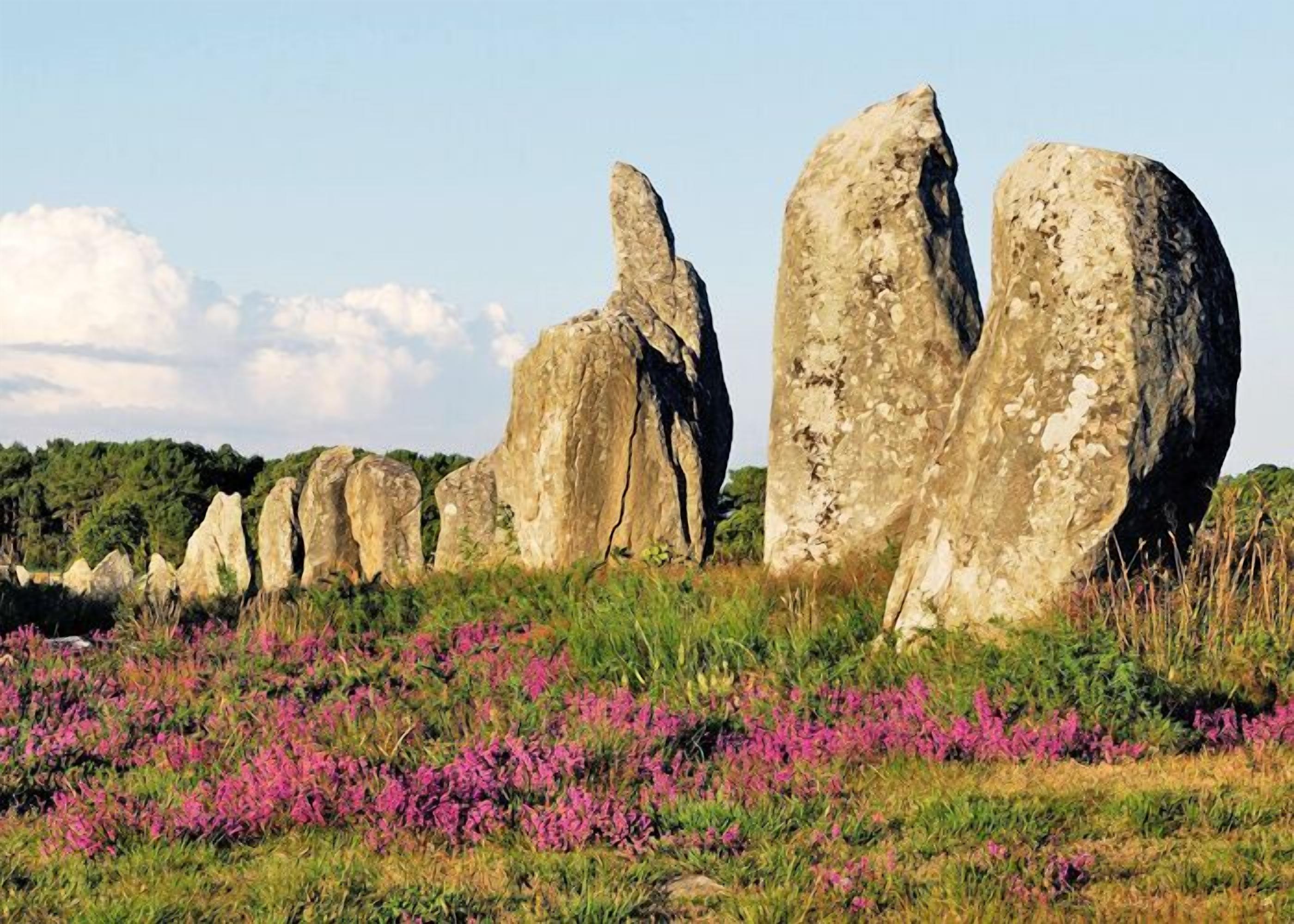 Un paysage naturel caractérisé par de grandes formations rocheuses et des plantes à fleurs violettes.