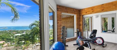 A modern gym with exercise equipment, large windows, and a view of the ocean.