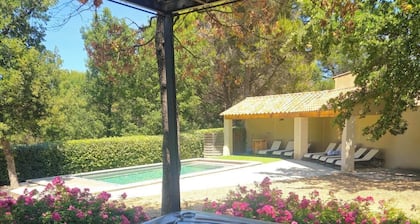 New villa with a private pool and spa in the hills above Faucon