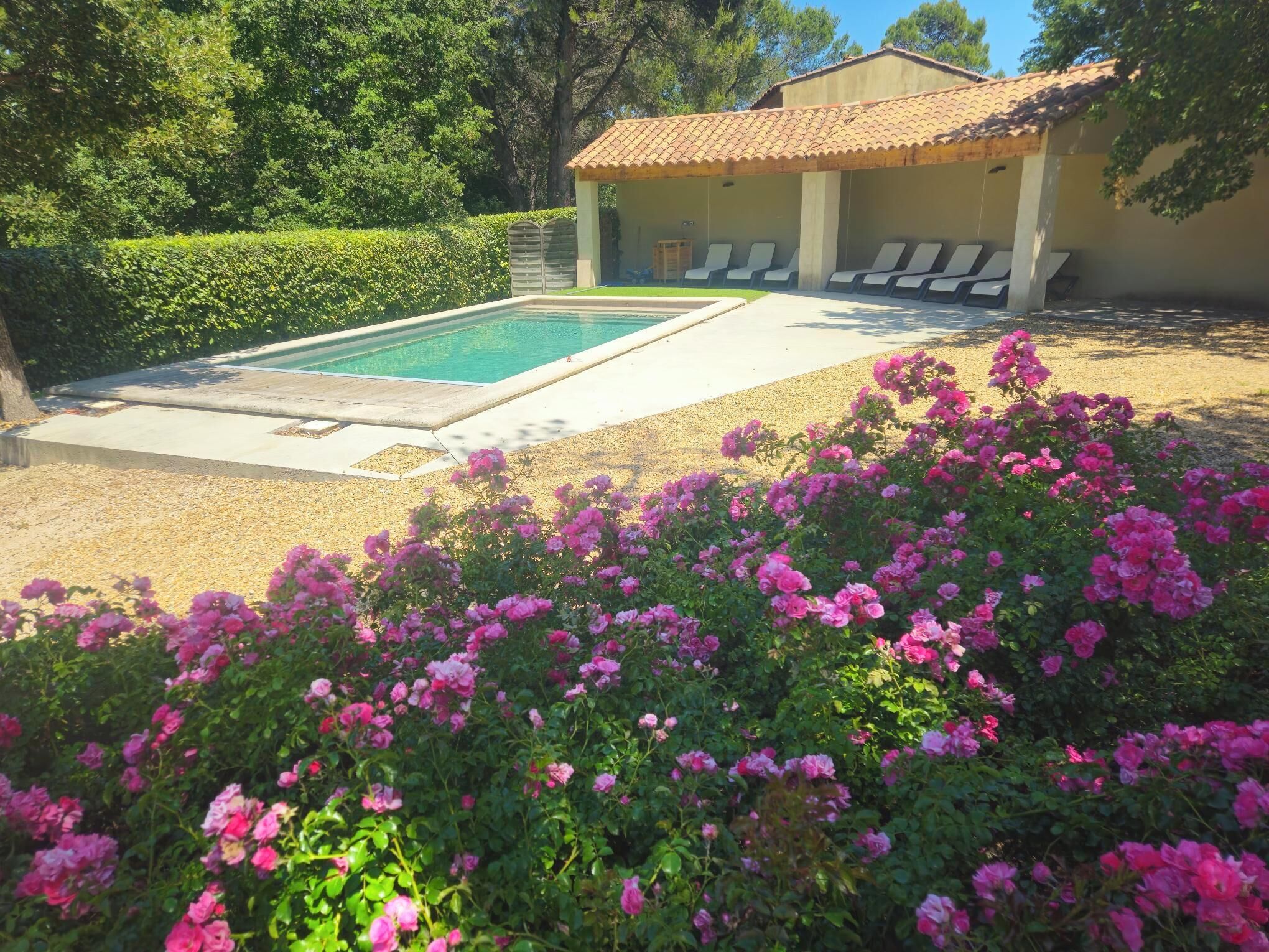 Piscine