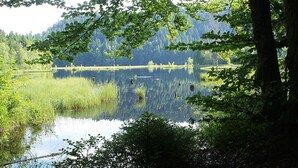 A serene lake surrounded by lush greenery and trees.
