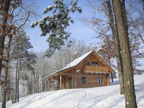  champagne blokhut met ZWEMBAD (in de zomer) en SAUNA