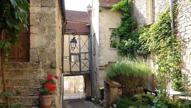 A narrow alleyway with stone walls, a wooden gate, and potted plants. - Charming medieval house in the heart of Flavigny-sur-Ozerain (Flavigny-Sur-Ozerain)