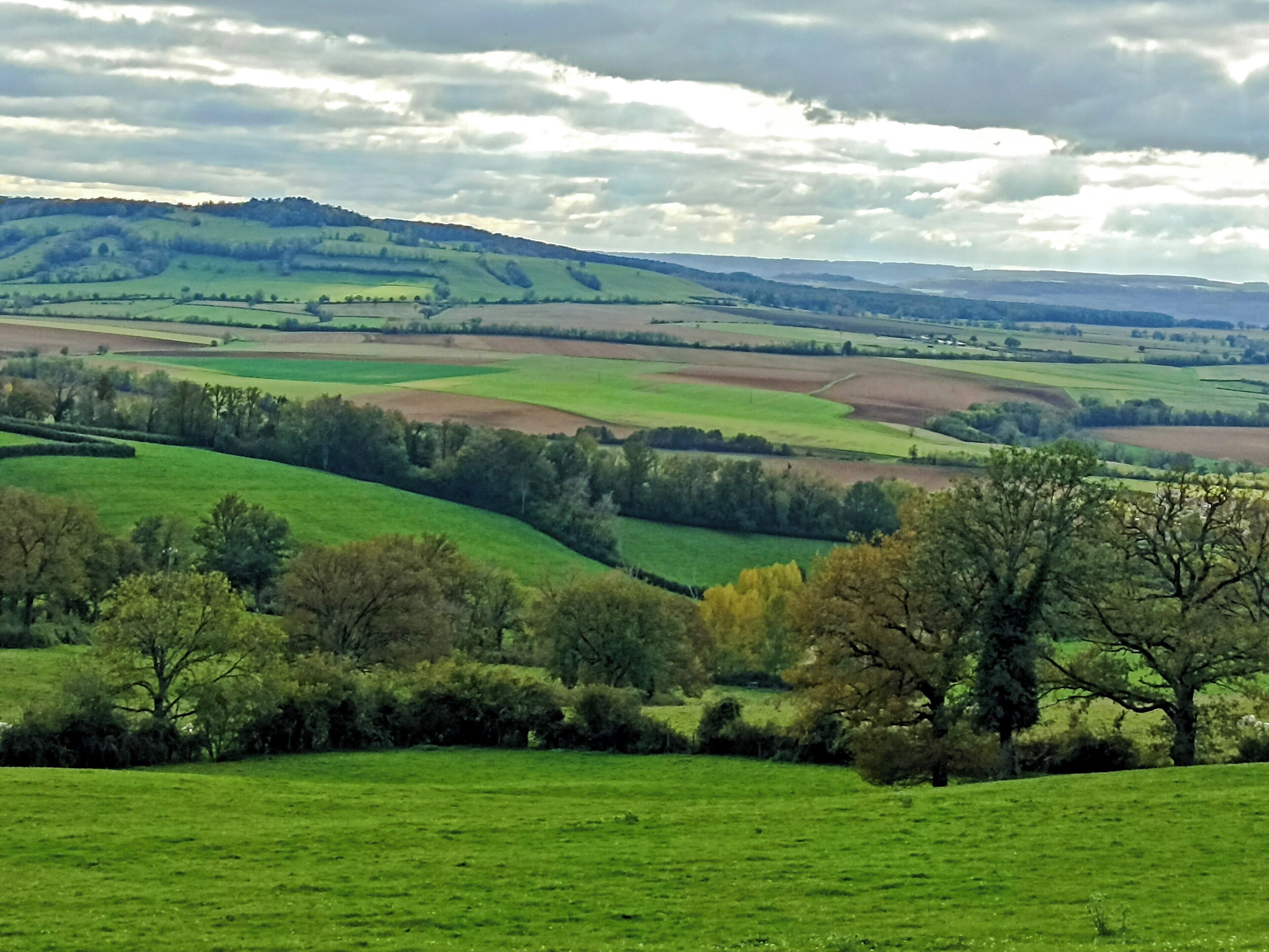 A panoramic view of a green landscape with rolling hills and fields.