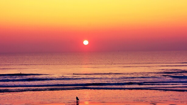 A beach at sunset with waves and a dog on the sand.